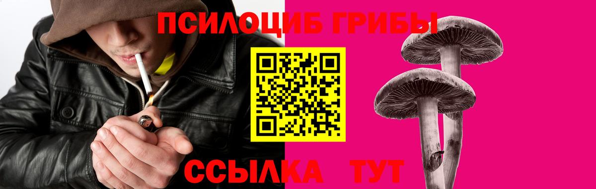 Псилоцибиновые грибы Cubensis Моздок